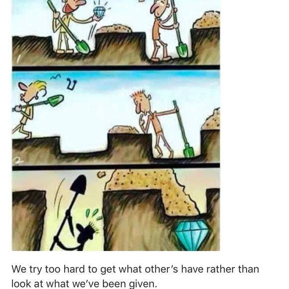 Get to know me!🌱🌻🌞🌱 - Picture 5 of 9